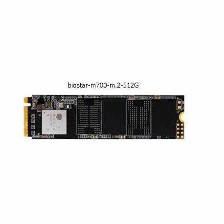 حافظه SSD بایوستار مدل M700 m.2 ظرفيت 512 گيگابايت